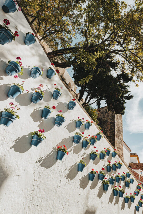 Tour Privado Marbella (Español) - Imagen 2