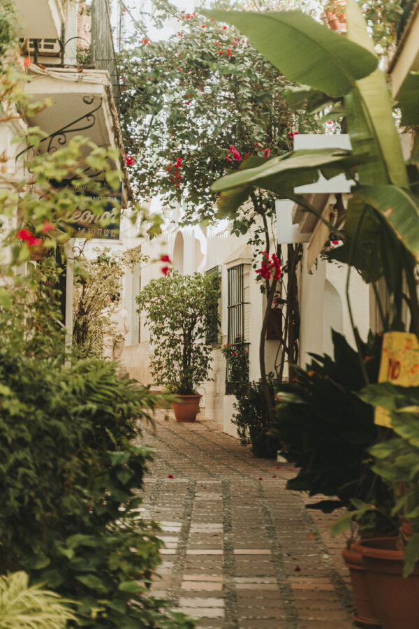 Tour Privado Marbella (Español) - Imagen 4