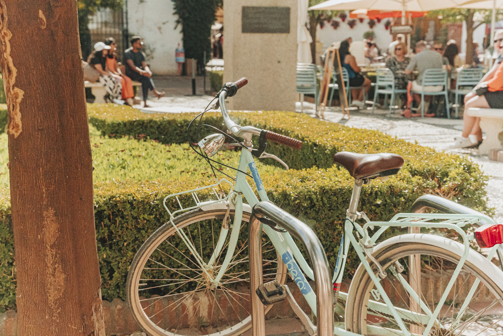 La Plaza de los Naranjos.